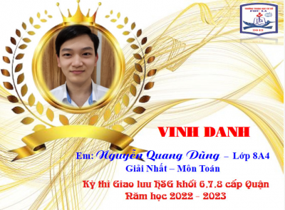 THCS PHÚ LA VINH DANH HỌC SINH KHỐI 8 ĐẠT GIẢI KỲ THI GIAO LƯU HSG KHÔI 6,7,8 CẤP QUẬN NĂM HỌC 2022 - 2023